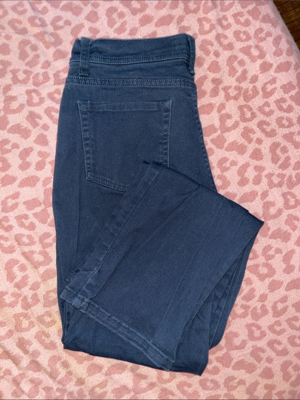 Lee Women’s Navy Jeggings